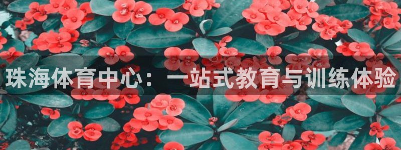 杏鑫vk