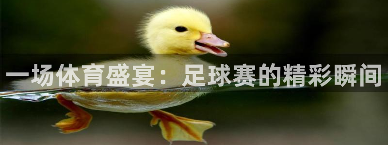 杏鑫体育代理申请流程