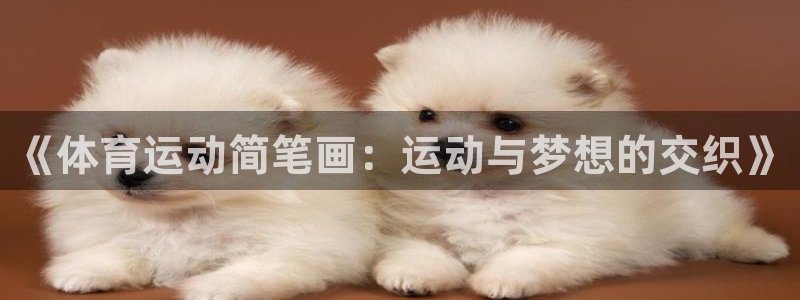杏鑫4开户