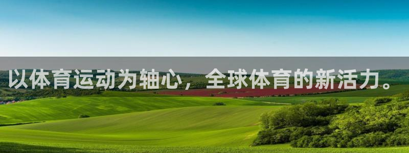 上海杏鑫汽车电子有限公司