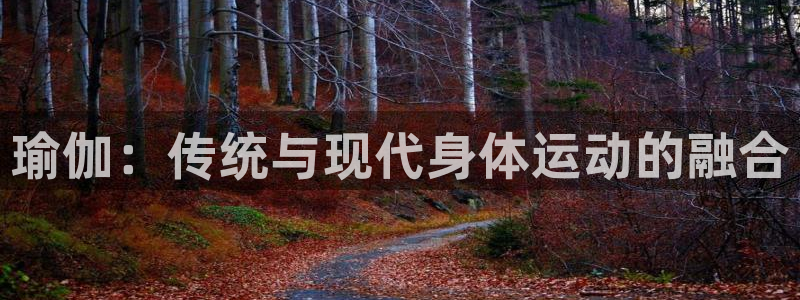 杏鑫体育3在线注册