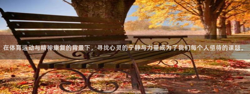 杏鑫体育1招商