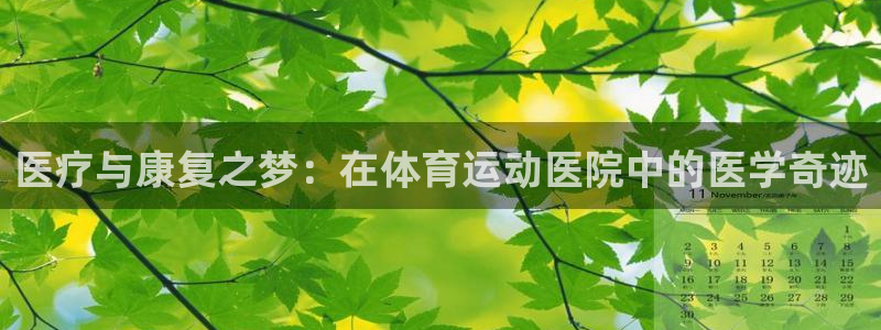 杏鑫凯捷开号链接