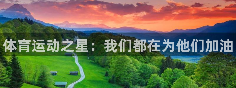 杏鑫平台注册入口