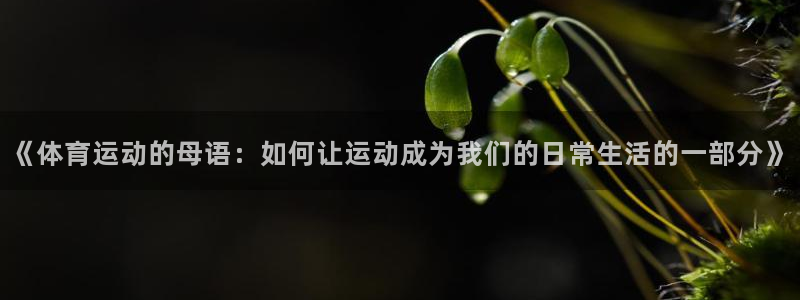 杏鑫体育注册代理