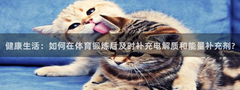 杏鑫体育凯捷平台注册