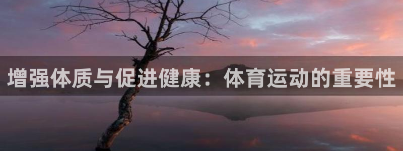 杏鑫2注册