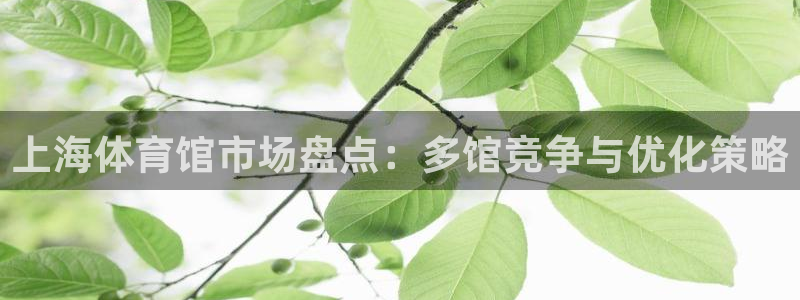 福建杏鑫机电股份公司