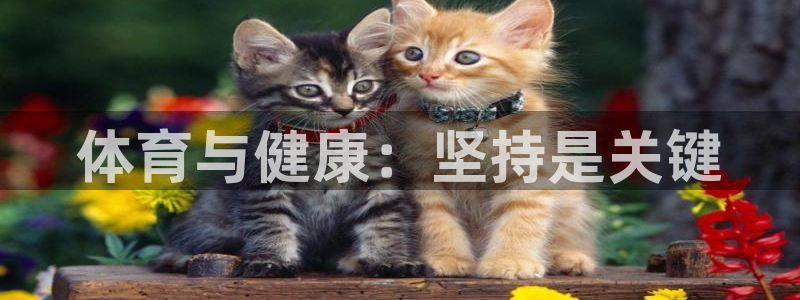 杏鑫4官网