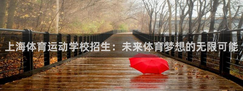 杏鑫体育