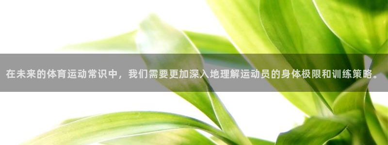 杏鑫体育凯捷登陆