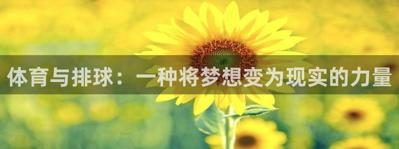 杏鑫4平台注册