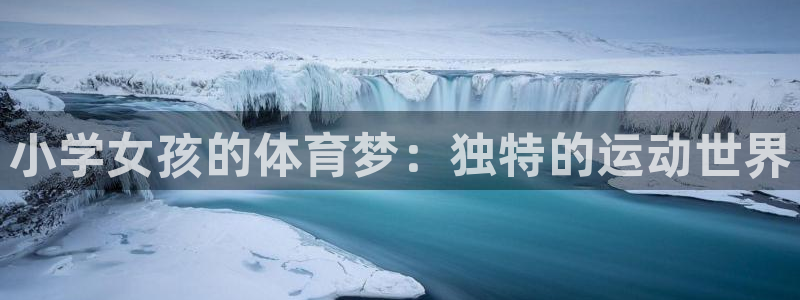 杏鑫包怎么样