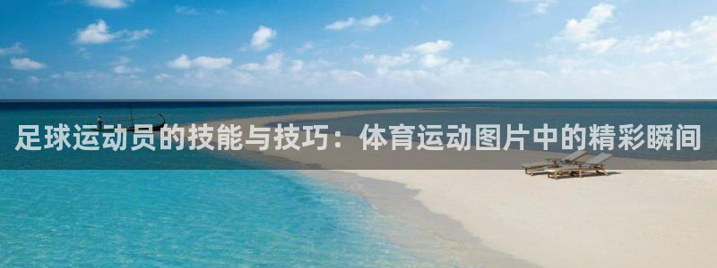 杏鑫体育官网入口登录