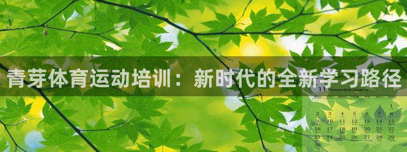 杏鑫3