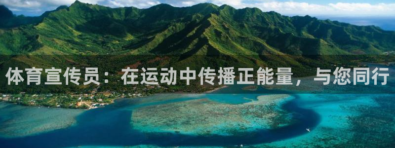 上海杏鑫汽车电子有限公司